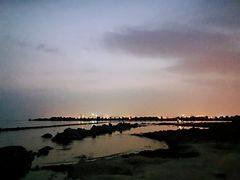 -合肥滨湖国家森林公园