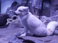 -正佳极地海洋世界