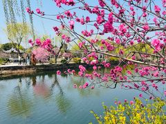 -无锡蠡湖国家湿地公园-蠡园