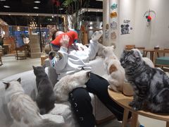 -藏猫猫咖啡主题馆(中央大道店)