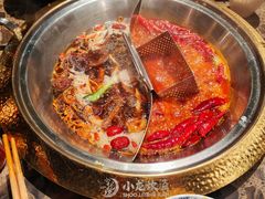 -小龙坎火锅(东汇城店)