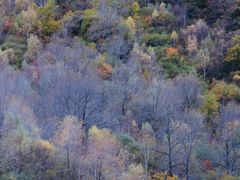 -叠溪松坪沟景区