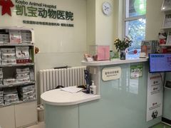 -悦宠凯宝动物医院·牙科·皮肤科(朝阳北路店)