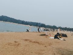 -瑶湖郊野森林公园