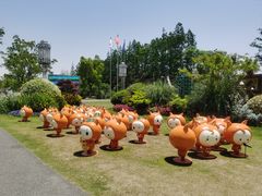 -上海长兴岛郊野公园