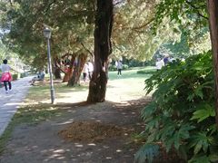 -南通博物苑-崇川人民公园