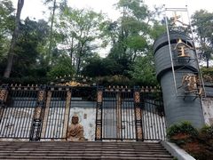 -大金鹰园