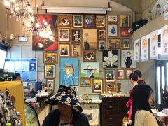 -猫咪博物馆(顶澳仔猫街店)