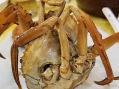 -莲花公园煎蟹(总店)
