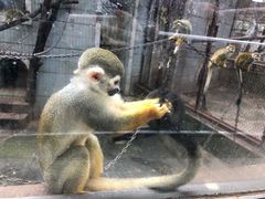 -昆明动物园