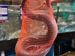 -荣基四海一家·家常菜·海鲜大排档(新安店)