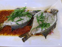 清蒸太阳鱼-潮喜竹溪荔湖酒家(荔枝湾店)