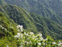 -秦岭风景区