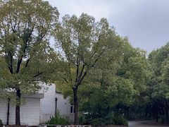 -胜华驾校·小猫学车(银都店)