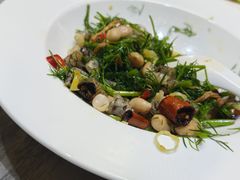 茴香拌鱼皮-君霖海鲜私房菜(春柳店)