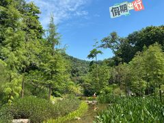 -云溪植物园