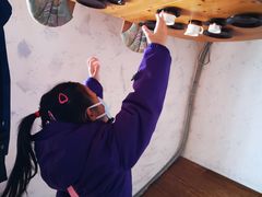 -金山农民画村-枫泾波兰倒置屋