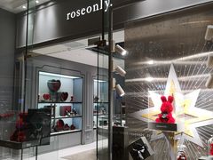 -ROSEONLY诺誓(广州K11店)