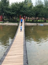 -上美四季动物农场