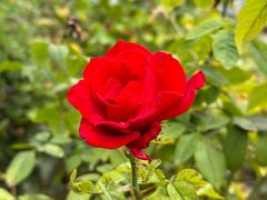 -回龙观体育文化公园