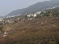 -香雪海