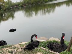 -上海野生动物园