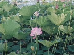 -满都海公园