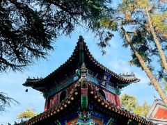 -洛阳白马寺