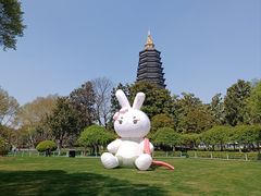 -红梅公园