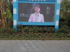 -合肥滨湖国家森林公园