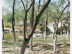 -大兴滨河森林公园