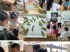 -上海市宝山星佑博爱幼儿园