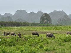 -Club Med地中海俱乐部·桂林度假村
