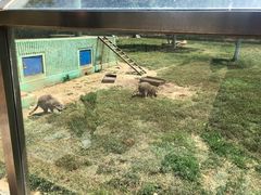 -秦皇岛野生动物园