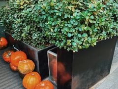 -婕妮璐超市 Jenny Lou’s Shop(三里屯店)