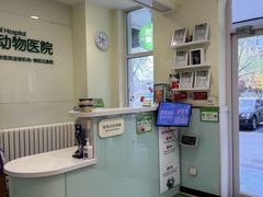 -悦宠凯宝动物医院·牙科·皮肤科(朝阳北路店)