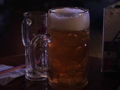 -宝莱纳啤酒花园餐厅PAULANER BRAUHAUS Nanjing(广州路店)