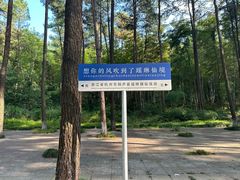 -瑶琳仙境