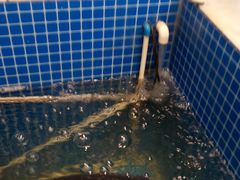 -三品香·江浙菜(松江九谊店)