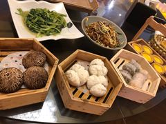 -美食小镇·观赏珍稀鸟类·长隆熊猫酒店