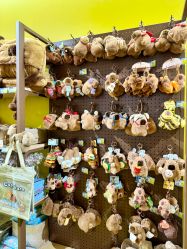 -金展珠宝广场