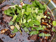 -大邑李记肥肠血旺