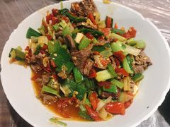 -壹盏灯(惠农店)