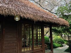 -中国茶叶博物馆(双峰馆区)