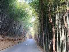 -穹窿山景区