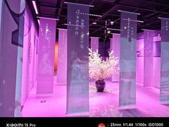 -金陵梦华·宫宴(南京首店)