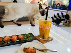 -喵园·猫主题咖啡厅·撸猫·猫咖(国贸店)