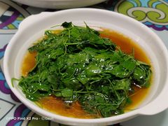-扬州菜在上海(场北广场店)