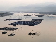 -北岐滩涂
