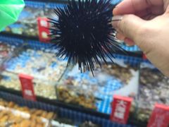 -红月湾海鲜饭店•沙滩海景(双月湾店)